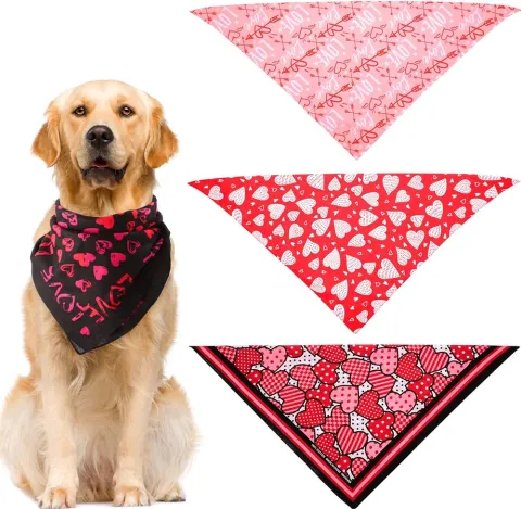 Golden retriever with several bandanas.