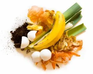 Fruits, veggies, eggs shells and coffee grounds.