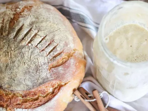 Sourdough loaf and starter