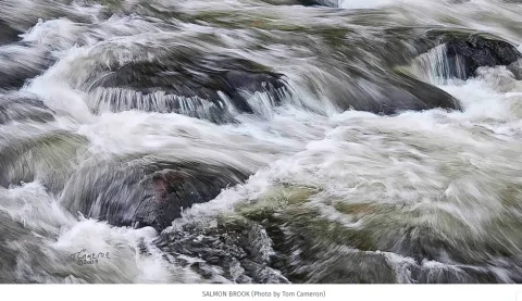 Salmon Brook in Granby, CT