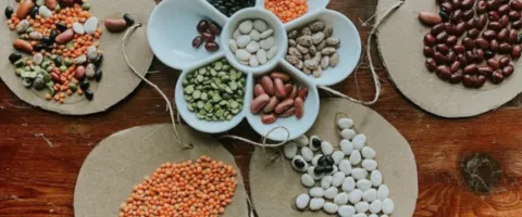 seed art