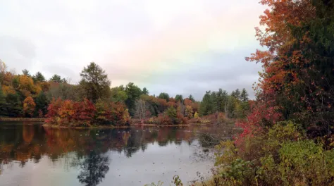 Fall foliage along McLean Pond with rainbow above.