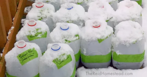Milk jugs covered in snow.