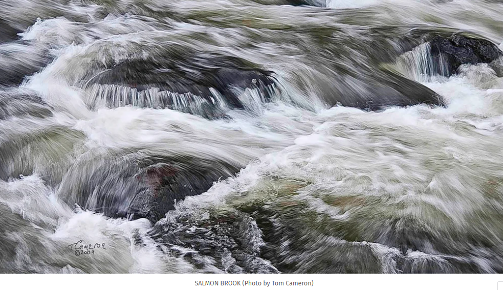 Salmon Brook in Granby, CT